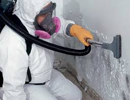 Why You Should Choose Our Mold Remediation Services in Hughson, CA